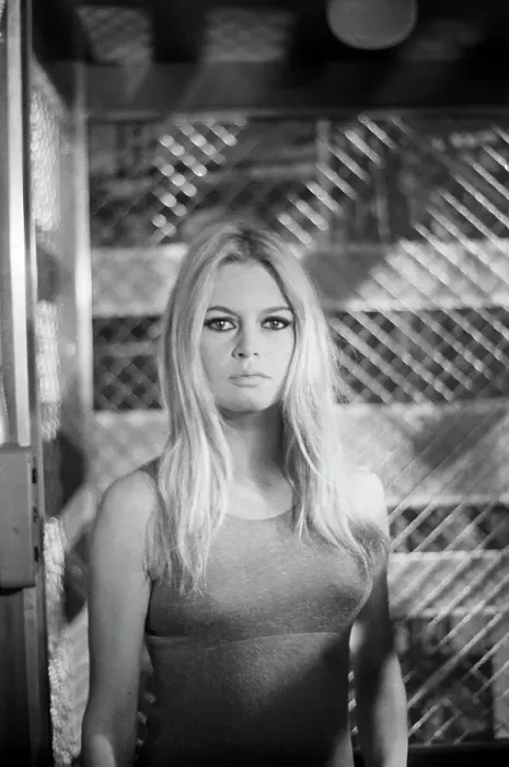 Framed Print : Brigitte Bardot Framed Print : Brigitte Bardot