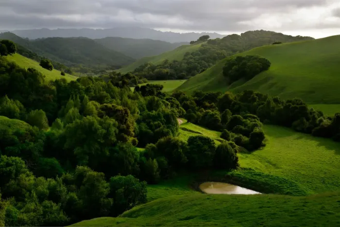 Framed Print : Briones Hills Framed Print : Briones Hills