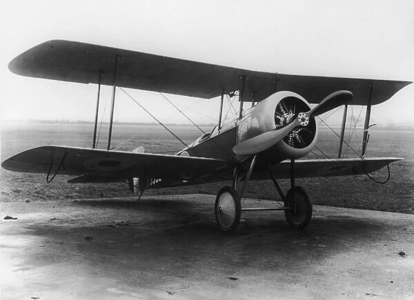 Bristol Scout. A Bristol Scout D used by the R.F.C