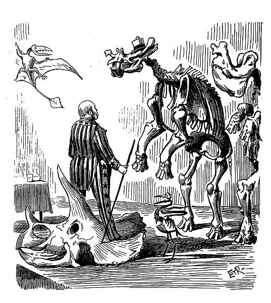British London satire caricatures comics cartoon illustrations: Dinosaurs skeleton