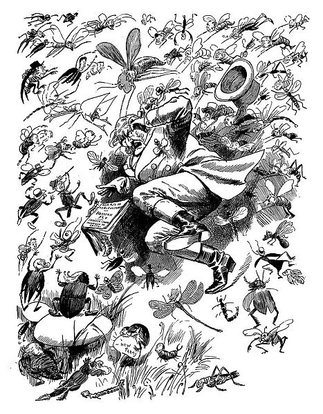 British London satire caricatures comics cartoon illustrations: Insect attack