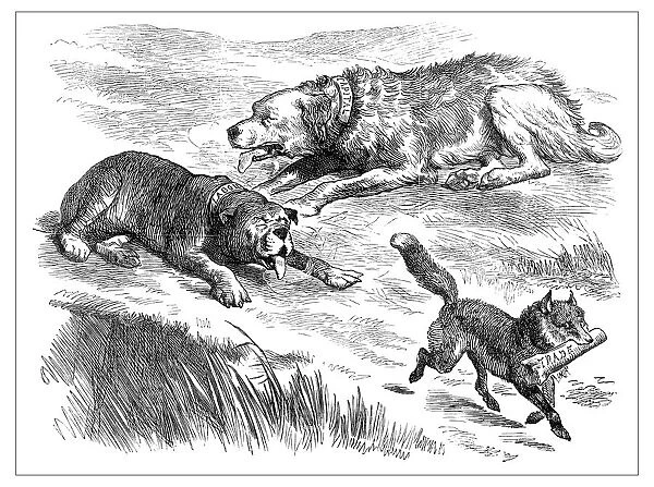 British London satire caricatures comics cartoon illustrations: Dogs and fox