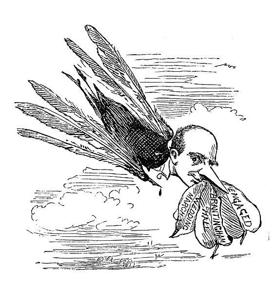 British London satire caricatures comics cartoon illustrations: Bird man
