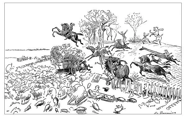 British London satire caricatures comics cartoon illustrations: Animals