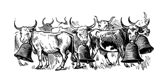 Framed Print : British London satire caricatures comics cartoon illustrations: Cattle with giant bell Framed Print : British London satire caricatures comics cartoon illustrations: Cattle with giant bell
