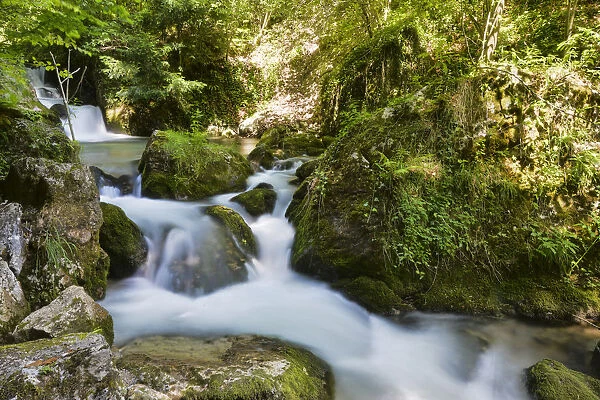Brook of Myra Falls, Muggendorf, Lower Austria, Austria