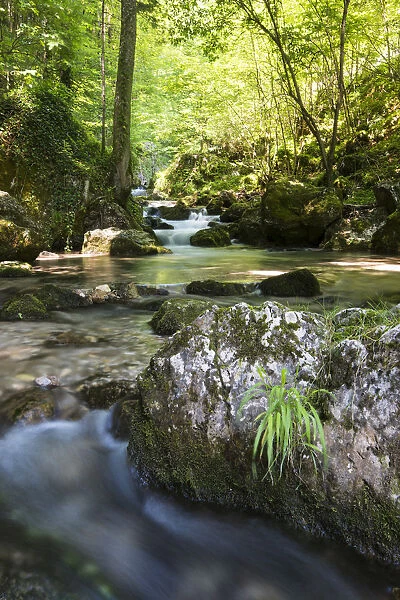 Brook of Myra Falls, Muggendorf, Lower Austria, Austria
