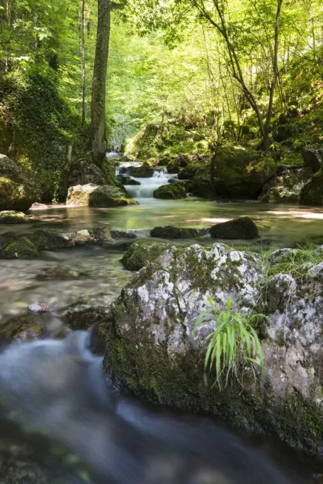 Framed Print : Brook of Myra Falls, Muggendorf, Lower Austria, Austria