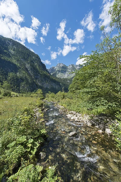 Brook in front of the Watzmann massif, St. Bartholoma in Konigssee, Berchtesgaden National Park, Berchtesgadener Land district, Upper Bavaria, Bavaria, German