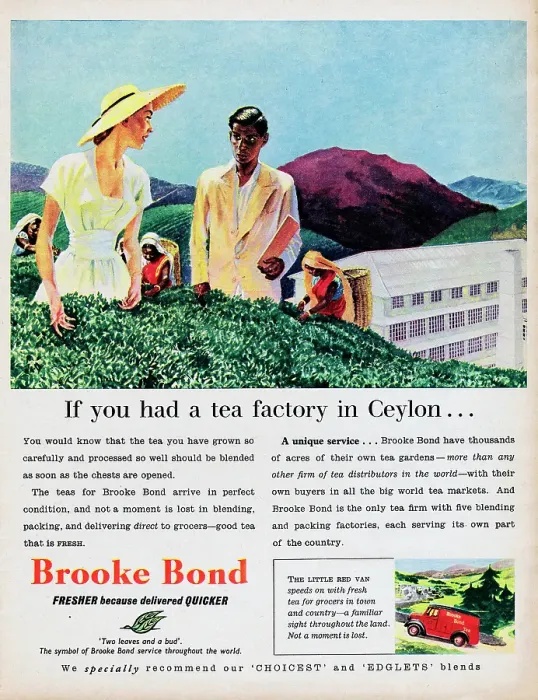Framed Print : Brooke Bond Tea Framed Print : Brooke Bond Tea