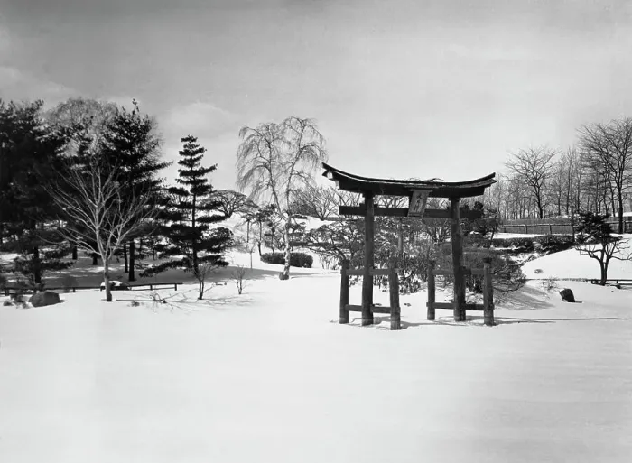 Framed Print : Brooklyn Botanic Garden, New York City Framed Print : Brooklyn Botanic Garden, New York City