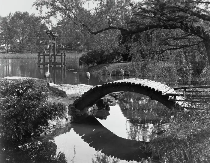 Framed Print : Brooklyn Botanic Garden, New York City Framed Print : Brooklyn Botanic Garden, New York City
