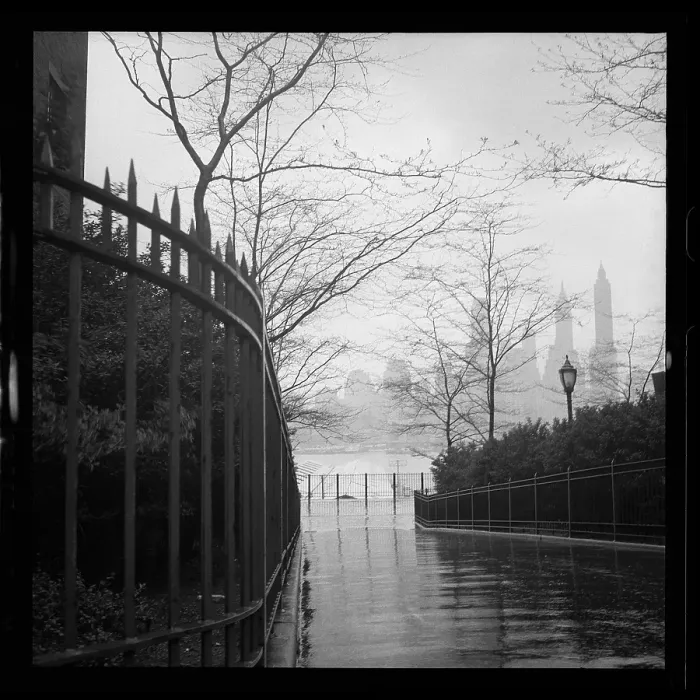 Framed Print : Brooklyn Heights Framed Print : Brooklyn Heights