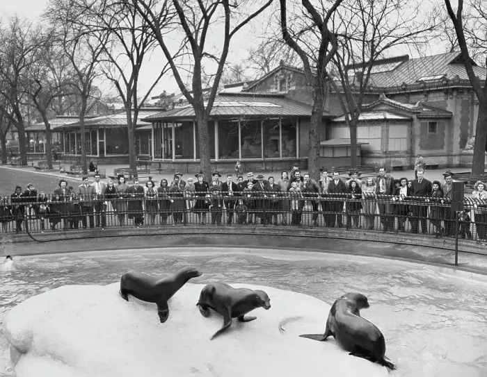 Framed Print : Brooklyn Zoo, New York City Framed Print : Brooklyn Zoo, New York City