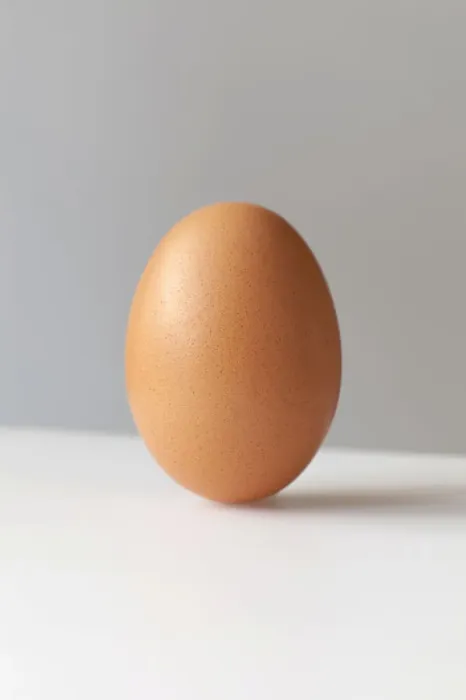 Framed Print : A brown egg
