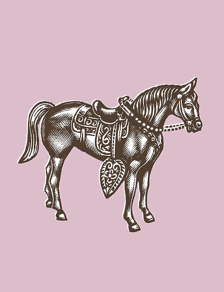 Brown Horse on Pink Background