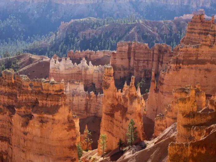 Framed Print : Bryce Canyon and Hoodoos, Bryce Canyon National Park, Utah, USA Framed Print : Bryce Canyon and Hoodoos, Bryce Canyon National Park, Utah, USA