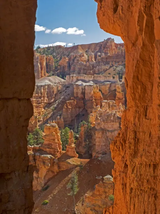 Framed Print : Bryce Canyon and Hoodoos along Peekaboo Loop Trail, Bryce Canyon National Park, Utah, USA Framed Print : Bryce Canyon and Hoodoos along Peekaboo Loop Trail, Bryce Canyon National Park, Utah, USA