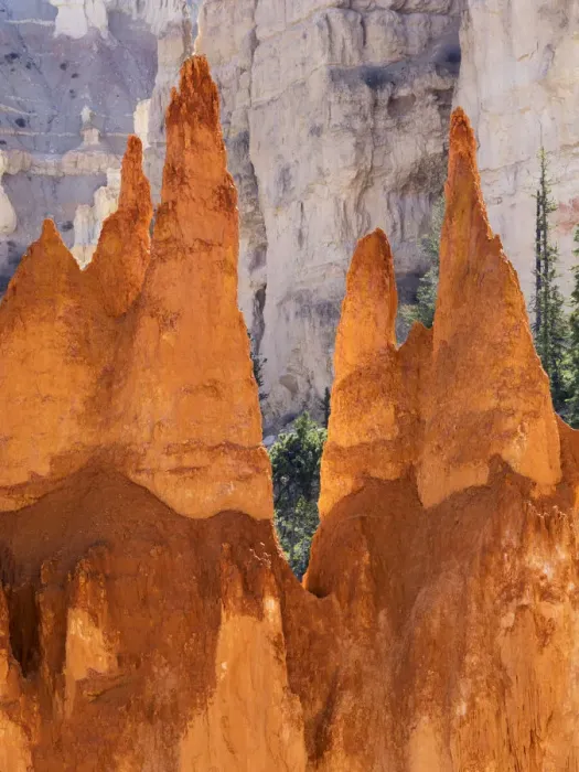 Framed Print : Bryce Canyon and Hoodoos along Peekaboo Loop Trail, Bryce Canyon National Park, Utah, USA Framed Print : Bryce Canyon and Hoodoos along Peekaboo Loop Trail, Bryce Canyon National Park, Utah, USA
