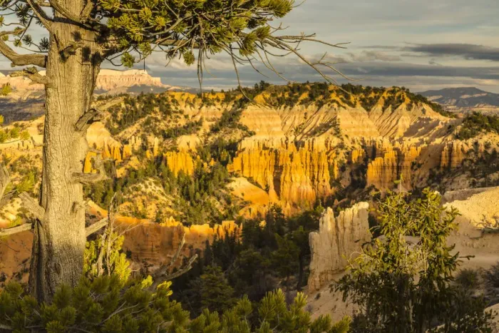 Framed Print : Bryce Canyon National Park, Utah, USA Framed Print : Bryce Canyon National Park, Utah, USA