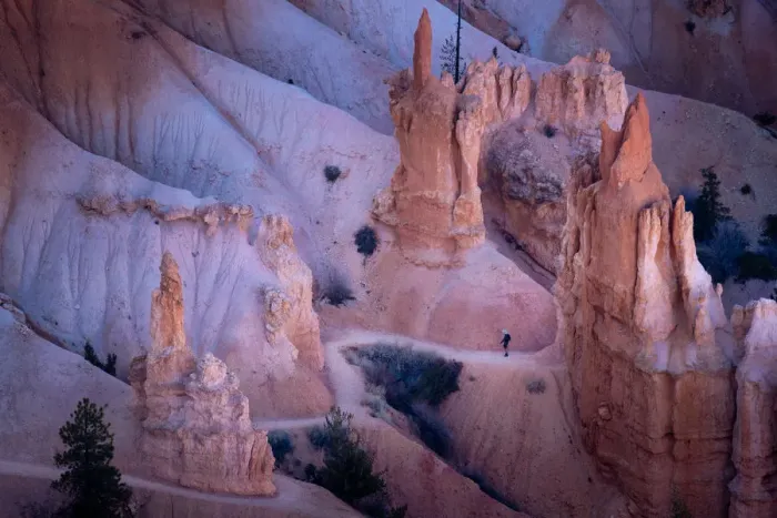 Framed Print : Bryce canyon national park, Utah, USA Framed Print : Bryce canyon national park, Utah, USA