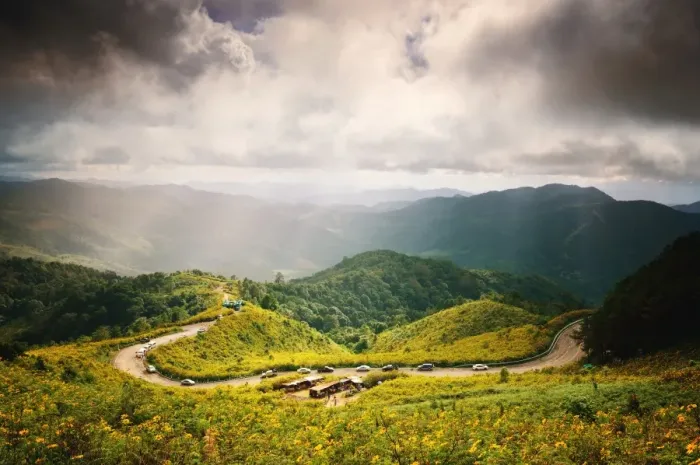 Framed Print : Bua Tong Fields at Doi Mae U-Kho Framed Print : Bua Tong Fields at Doi Mae U-Kho