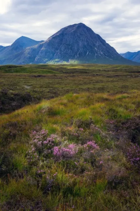 Framed Print : Buachaille Etive Mor, Glencoe, Highland Framed Print : Buachaille Etive Mor, Glencoe, Highland