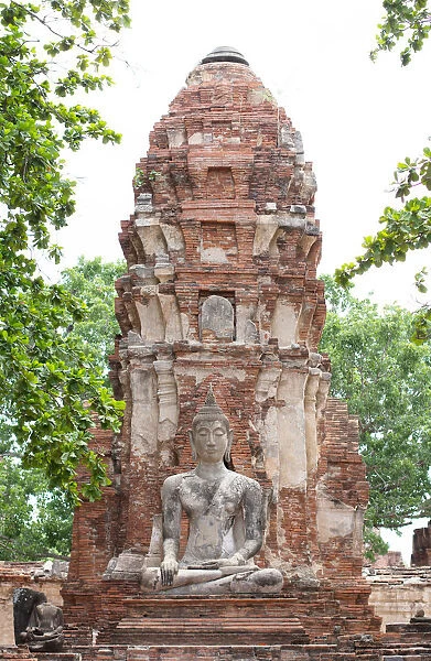 Buddha. Wat Mahathat. Ayutthaya. Thailand