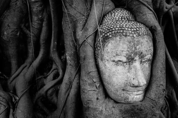 Framed Print : Buddha Head