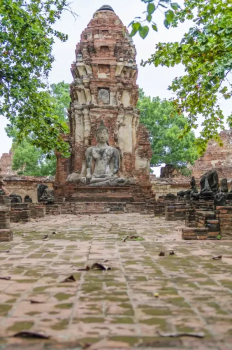 Framed Print : Buddha statu at Wat Mahatat Ayutthaya Framed Print : Buddha statu at Wat Mahatat Ayutthaya