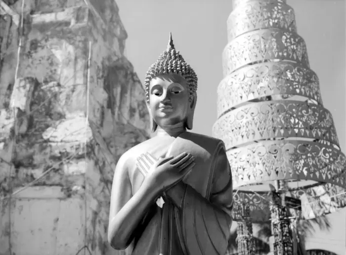Framed Print : Buddha statue and Pagoda Framed Print : Buddha statue and Pagoda