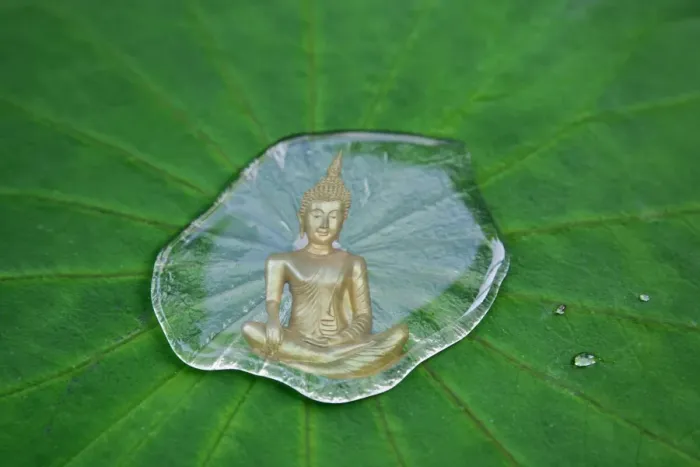 Framed Print : Buddha statue reflected in a drop of water on a lotus leaf Framed Print : Buddha statue reflected in a drop of water on a lotus leaf