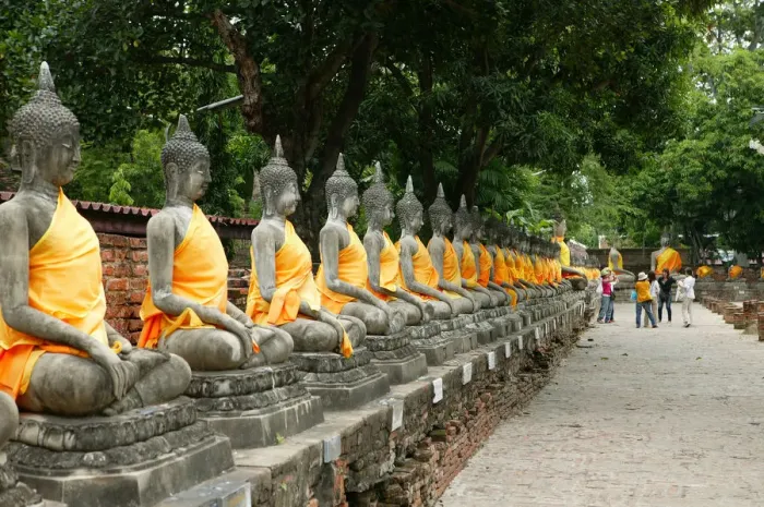 Framed Print : Buddha Statues at Wat Yai Chaya Mongkol Framed Print : Buddha Statues at Wat Yai Chaya Mongkol