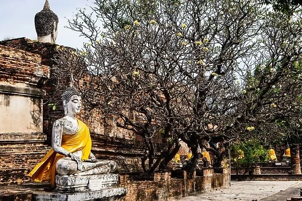 Buddhaa at Ma Ha That temple, Ayutthaya