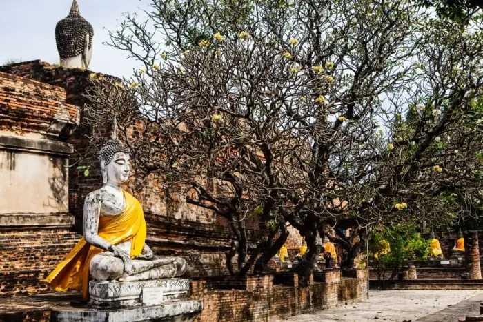 Framed Print : Buddhaa at Ma Ha That temple, Ayutthaya Framed Print : Buddhaa at Ma Ha That temple, Ayutthaya