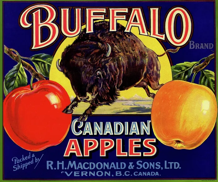 Framed Print : Buffalo Canadian Apples Framed Print : Buffalo Canadian Apples