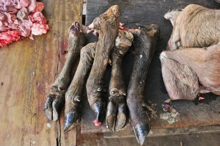 Framed Print : Buffalo hooves, delicacy, market, Vietnam, Asia Framed Print : Buffalo hooves, delicacy, market, Vietnam, Asia