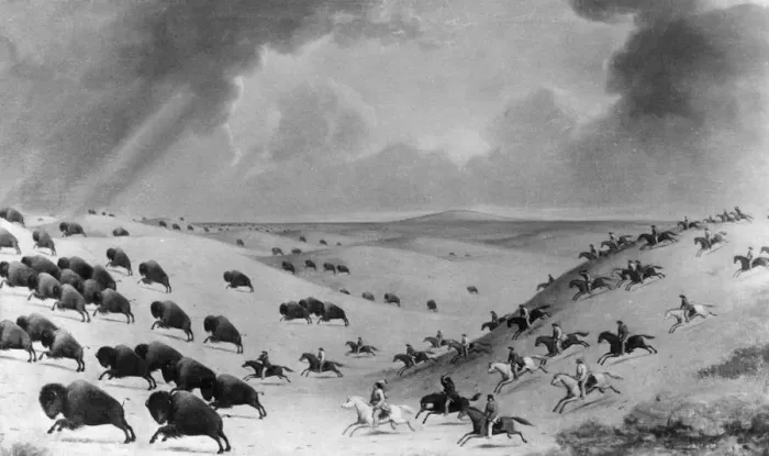 Framed Print : Buffalo Hunt Framed Print : Buffalo Hunt