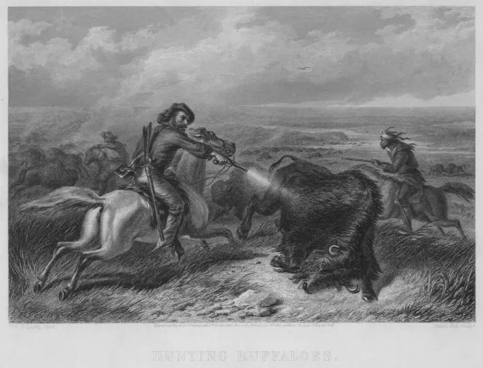Framed Print : Buffalo Hunting Framed Print : Buffalo Hunting