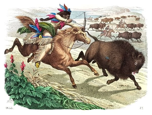 Buffalo hunting engraving 1853