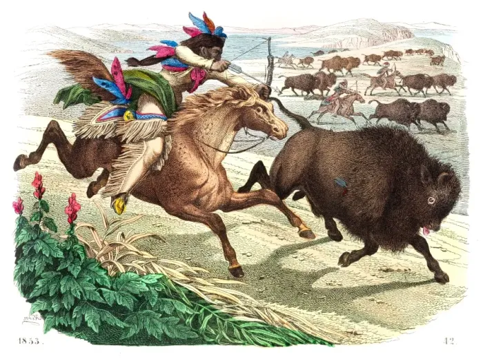 Framed Print : Buffalo hunting engraving 1853 Framed Print : Buffalo hunting engraving 1853