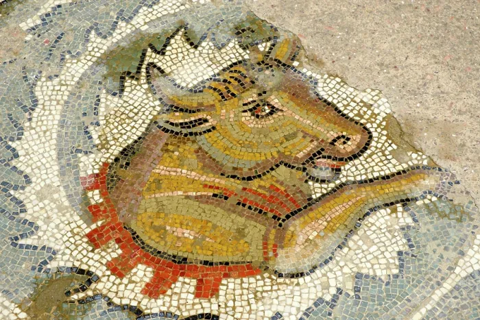 Framed Print : Bull, antique Roman floor mosaic Framed Print : Bull, antique Roman floor mosaic