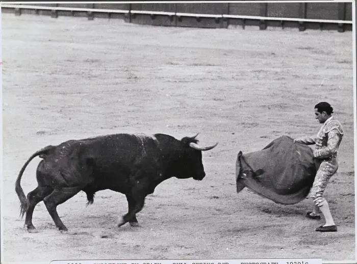 Framed Print : Bull Fighter Tempting His Subject in the Ring Framed Print : Bull Fighter Tempting His Subject in the Ring