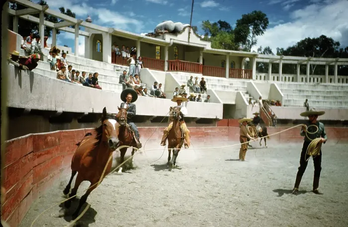 Framed Print : Bull fighting in Acapulco Framed Print : Bull fighting in Acapulco