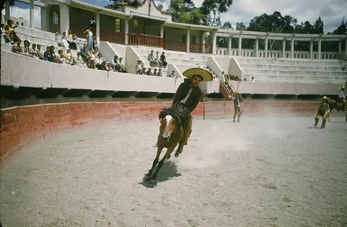 Framed Print : Bull fighting in Acapulco Framed Print : Bull fighting in Acapulco
