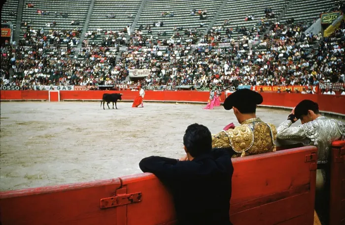 Framed Print : Bull fighting in Acapulco Framed Print : Bull fighting in Acapulco
