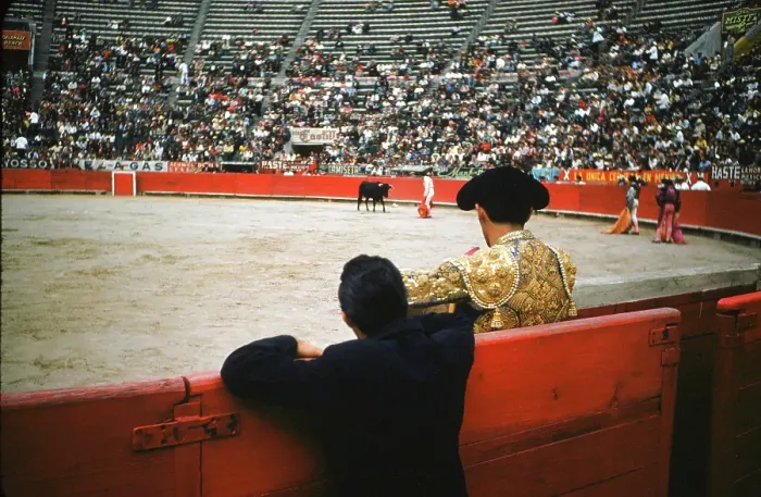Framed Print : Bull fighting in Acapulco Framed Print : Bull fighting in Acapulco