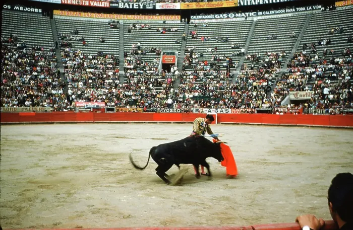 Framed Print : Bull fighting in Acapulco Framed Print : Bull fighting in Acapulco