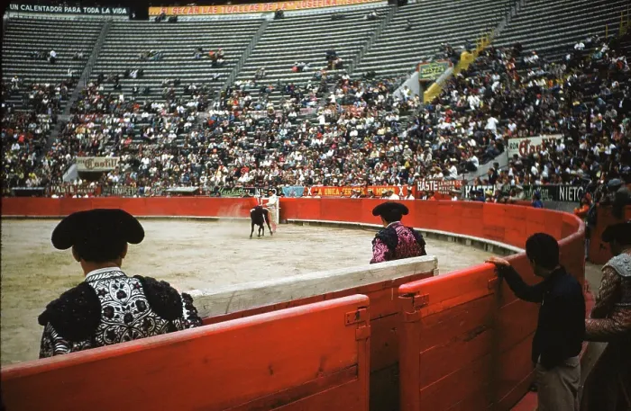 Framed Print : Bull fighting in Acapulco Framed Print : Bull fighting in Acapulco