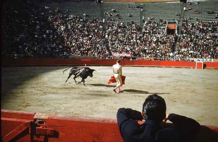 Framed Print : Bull fighting in Acapulco Framed Print : Bull fighting in Acapulco